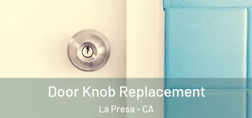  Door Knob Replacement La Presa - CA