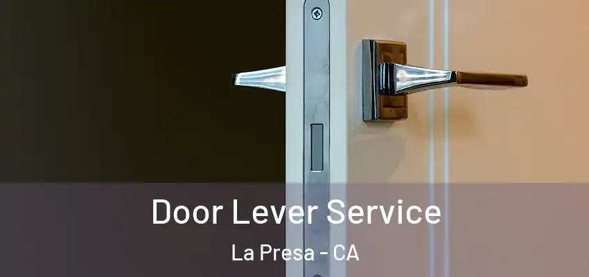  Door Lever Service La Presa - CA