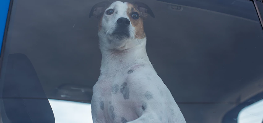 Car Lockout Solutions in La Presa, California